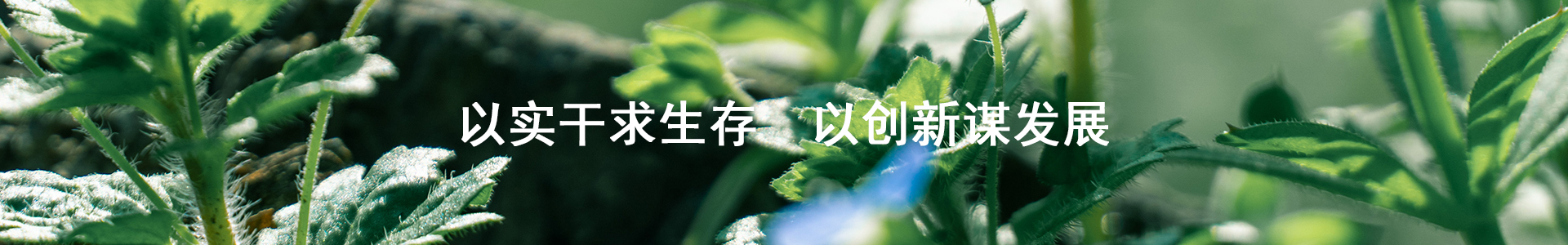 长春引风机长春通风机采购告诉您引风机的维护与管理：确保长期稳定运行的关键