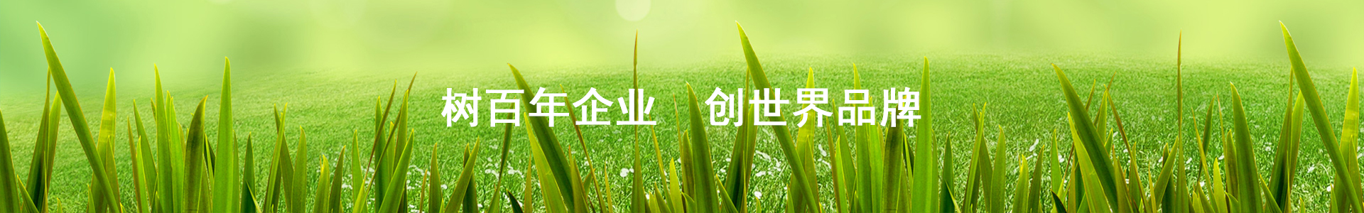 长春引风机离心风机告诉您引风机：工业领域的重要动力之源